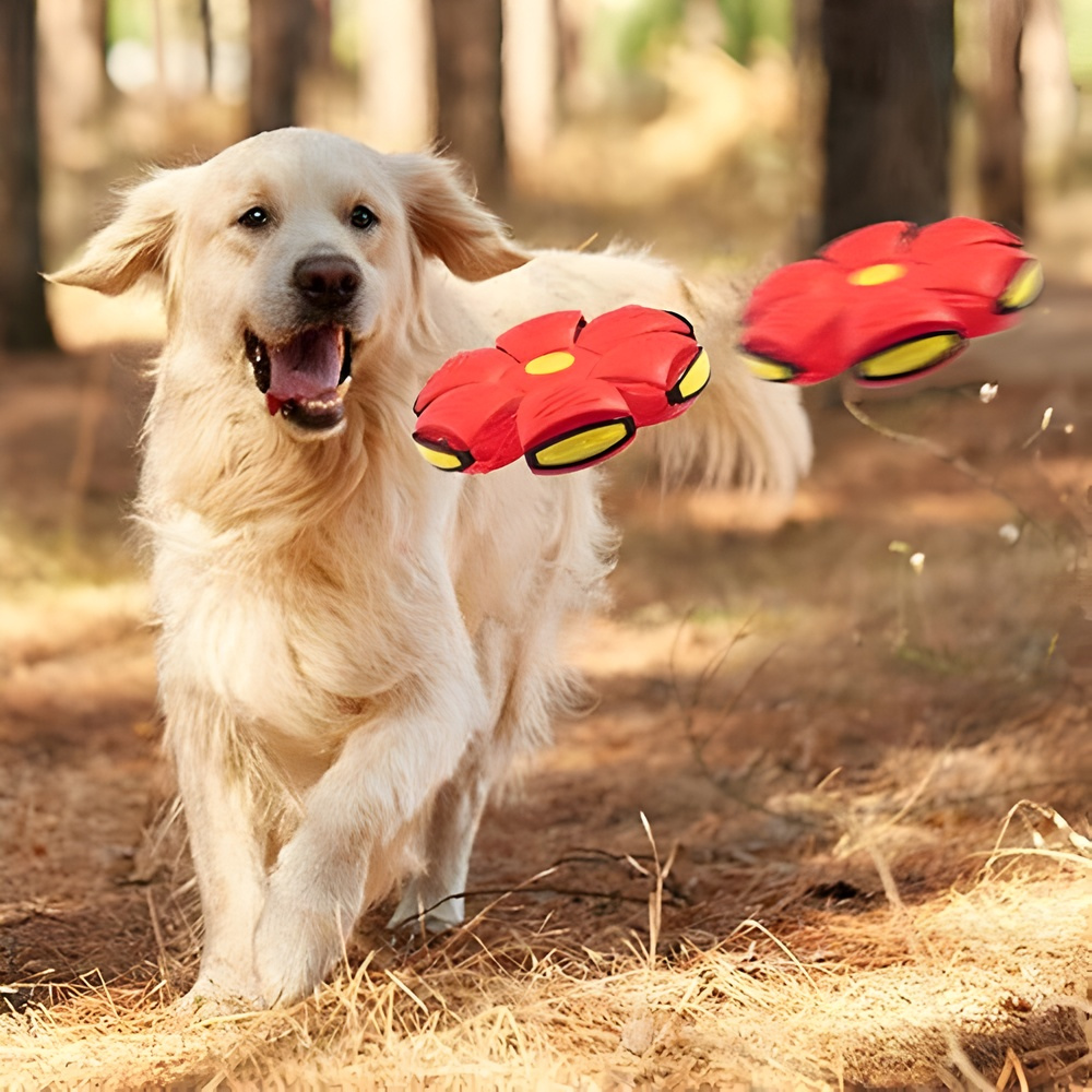 BounceFlip™ Dog Toy Ball