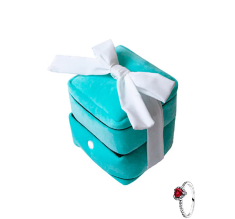 Plush Ring Set (with a red actual ring inside)